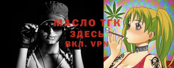 дживик Елабуга