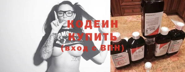 дживик Елабуга