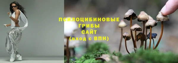 дживик Елабуга