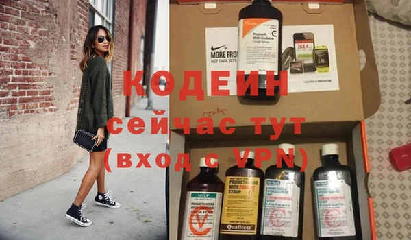 дживик Елабуга