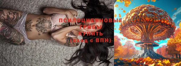 бошки Ельня