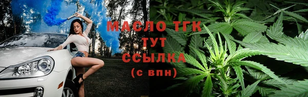 дживик Елабуга