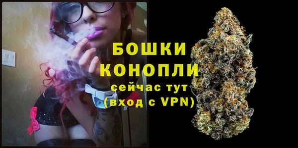 дживик Елабуга
