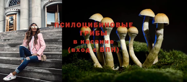 бошки Ельня