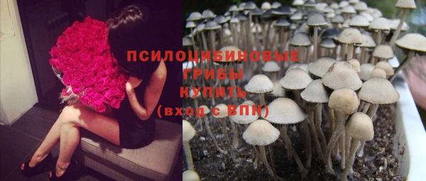 бошки Ельня