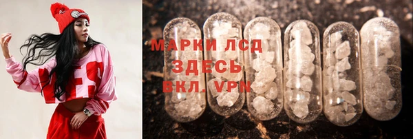дживик Елабуга